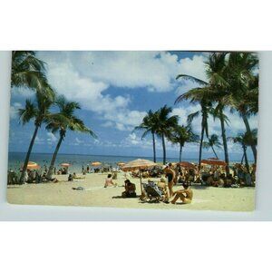 Postcard  Lovely Florida Beach Coconut Palms lush blue sky adverting vintage